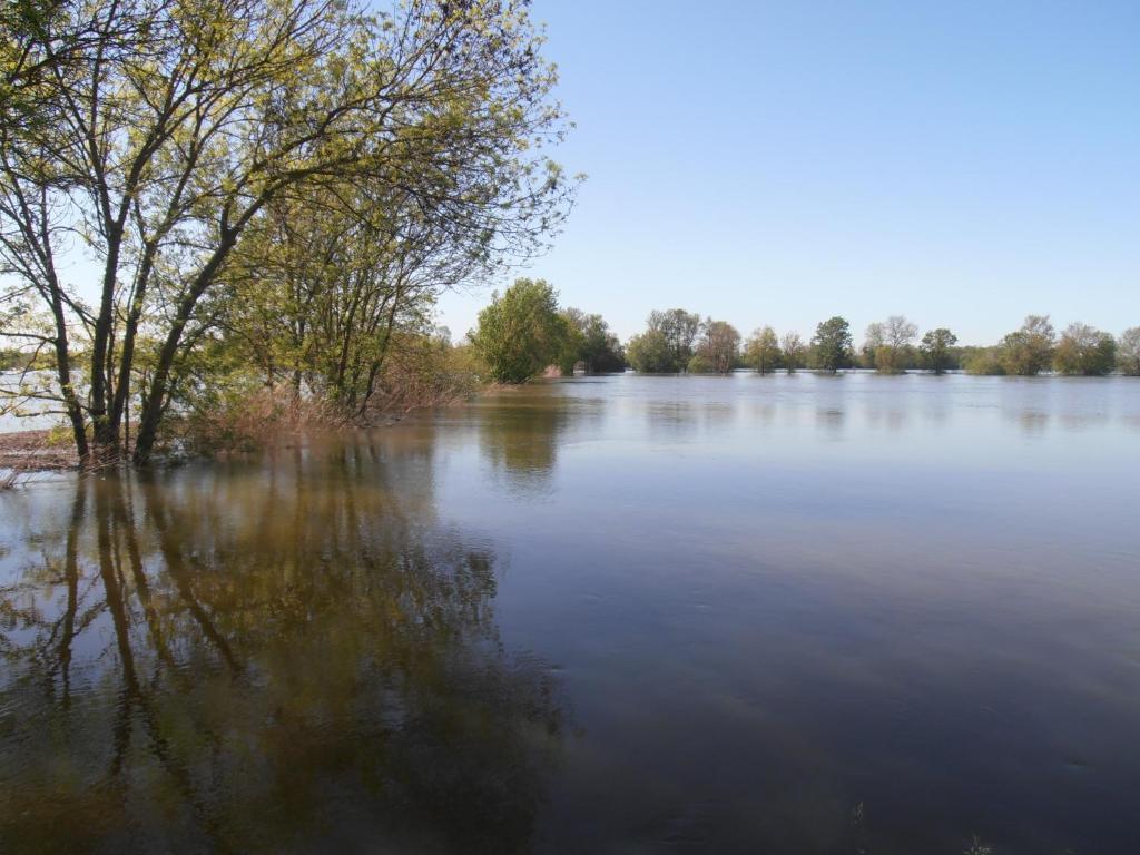 Chateau Sainte Marie 호텔 Dompierre-sur-Charente 외부 사진